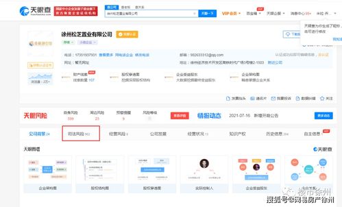 徐州房企資產再遭拍賣 東區小區24套房源因破產被重新推向市場